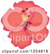 Poster, Art Print Of Pink Hibiscus Flower