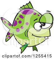 Poster, Art Print Of Green And Purple Spotted Dopey Fish