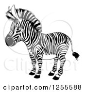 Clipart Of A Black And White Zebra Royalty Free Vector Illustration by AtStockIllustration