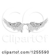 Poster, Art Print Of Pair Of Black And White Angel Or Eagle Wings