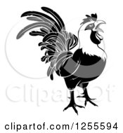 Poster, Art Print Of Black And White Rooster Crowing