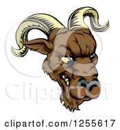 Poster, Art Print Of Snarling Ram Mascot Head