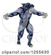 Poster, Art Print Of Muscular Panther Man Mascot Attacking