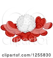 Poster, Art Print Of White Blood Cell On Red Cells