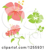 Poster, Art Print Of Pink And Green Hibiscus Flowers