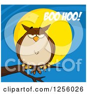 Clipart Of A Brown Owl On A Branch Over A Full Moon With Boo Hoo Text Royalty Free Vector Illustration by Hit Toon