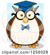 Poster, Art Print Of Wise Professor Owl Over Blue