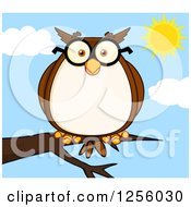 Poster, Art Print Of Wise Professor Owl In Glasses On A Branch