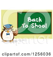 Poster, Art Print Of Wise Professor Owl Pointing To A Back To School Chalkboard