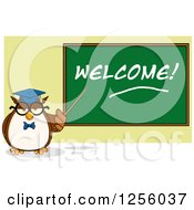 Poster, Art Print Of Wise Professor Owl Pointing To A Welcome Chalkboard