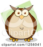Poster, Art Print Of Brown Owl Over Green