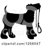 Poster, Art Print Of Black Silhouetted Airedale Terrier Dog Waiting With A Leash