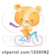 Cute Bear Riding A Bicycle