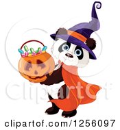 Cute Panda Dressed In A Witch Hat Holding Up A Halloween Pumpkin Basket Of Candy