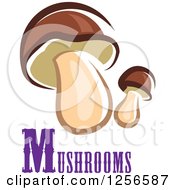 Clipart Of Two Mushrooms With Text Royalty Free Vector Illustration