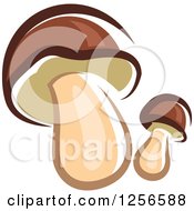 Clipart Of Two Mushrooms Royalty Free Vector Illustration