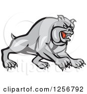 Poster, Art Print Of Cartoon Gray Guard Bulldog Charging