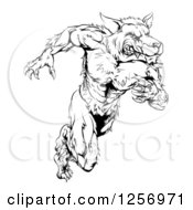 Clipart Of A Black And White Muscular Wolf Man Running Upright Royalty Free Vector Illustration