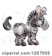 Clipart Of A Cute Zebra Looking Back Royalty Free Vector Illustration