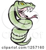 Poster, Art Print Of Cartoon Green Rattle Snake Coiled