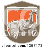 Poster, Art Print Of Mad Elephant In A Brown White And Orange Shield