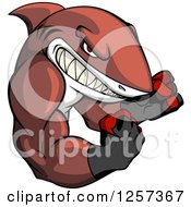 Clipart Of A Tough Muscular Boxing Shark Royalty Free Vector Illustration