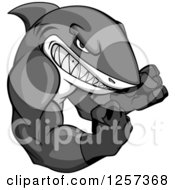 Clipart Of A Grayscale Tough Muscular Boxing Shark Royalty Free Vector Illustration