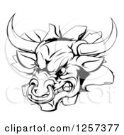 Clipart Of A Black And White Aggressive Bull Breaking Through A Wall Royalty Free Vector Illustration