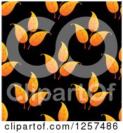 Poster, Art Print Of Pattern Of Orange Leaves On Black