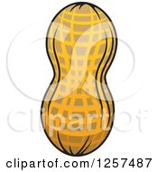 Clipart Of A Peanut Royalty Free Vector Illustration
