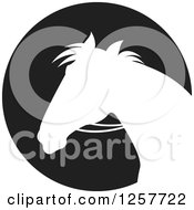 Poster, Art Print Of White Silhouetted Horse With Reins Over A Black Circle