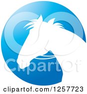 Poster, Art Print Of White Silhouetted Horse With Reins Over A Blue Circle