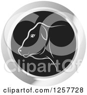 Poster, Art Print Of White Cow In A Black And Silver Circle