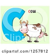 Poster, Art Print Of Happy Cow Over Letter C And Text On Green