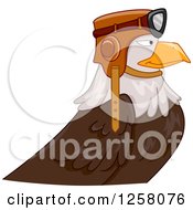 Bald Eagle Pilot In Profile