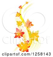Autumn Leaves Floating In A Breeze