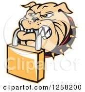 Clipart Of A Retro Bulldog Biting A Padlock Royalty Free Vector Illustration
