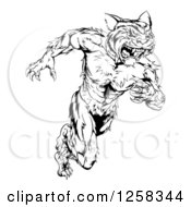 Poster, Art Print Of Black And White Fierce Muscular Running Tiger Man Mascot