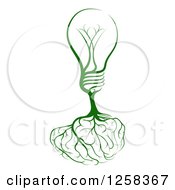 Clipart Of A Green Lightbulb Tree With Roots Shaping A Brain Royalty Free Vector Illustration