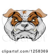 Clipart Of A Growling Aggressive Bulldog Face Royalty Free Vector Illustration