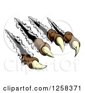 Clipart Of Brown Claws Shredding Royalty Free Vector Illustration by AtStockIllustration