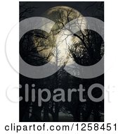 Poster, Art Print Of 3d Full Moon Through Bare Trees
