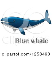 Poster, Art Print Of Blue Whale Over Text