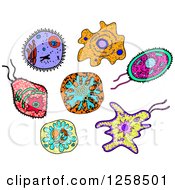 Colorful Doodled Virus Or Amoeba