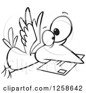 Black And White Cartoon Bird Delivering Air Mail