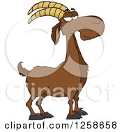 Poster, Art Print Of Red Male Boer Goat Wether