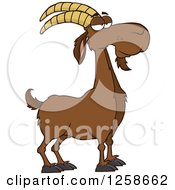 Poster, Art Print Of Red Male Boer Goat Buck With A Goatee