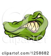 Clipart Of A Tough Snarling Alligator Mascot Head Royalty Free Vector Illustration
