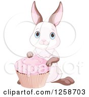 Poster, Art Print Of Cute Bunny Rabbit With A Pink Cupcake
