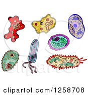 Clipart Of Colorful Doodled Viruses Or Amoebas Royalty Free Vector Illustration